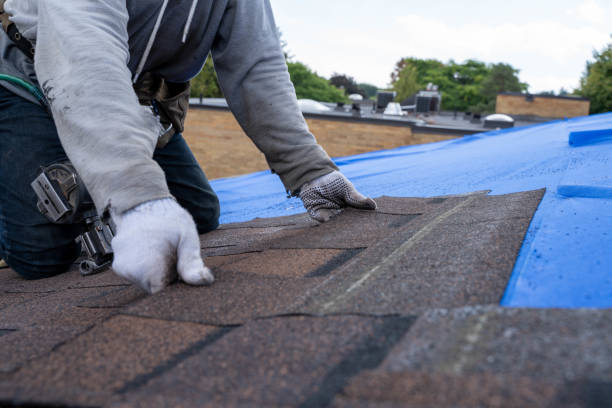 Roof Installation Near Me in Oxford, MS