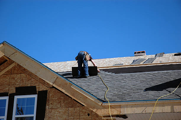 Roof Gutter Cleaning in Oxford, MS